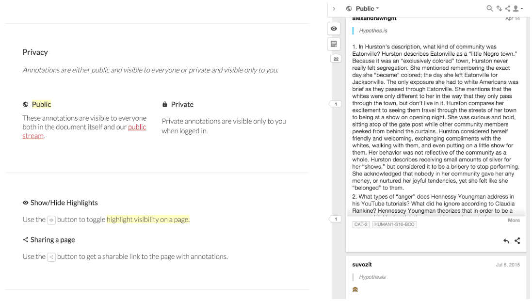 hypothesis-screenshot-3